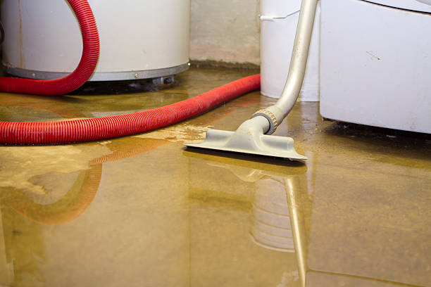Best Ceiling water damage repair  in Woodfield, SC